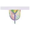 WOH G-String Sexy Fun Woh Rainbow